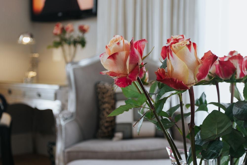 The Light House Boutique Suites Paarl Exteriör bild
