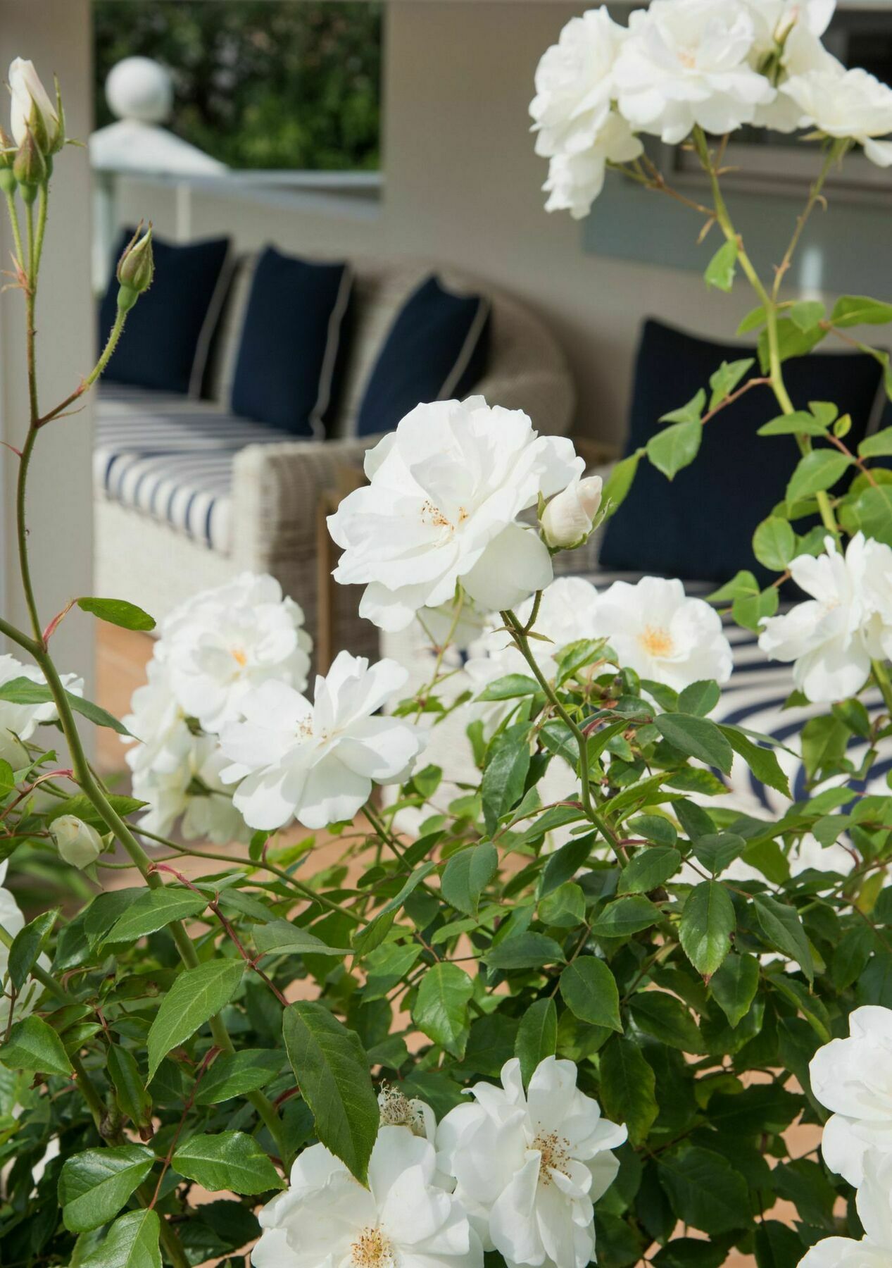 The Light House Boutique Suites Paarl Exteriör bild